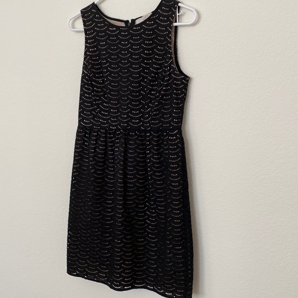 Ann Taylor Loft size 4 dress. Cotton eyelet.